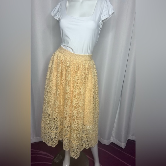 H&M Lace Midi skirt - Picture 3 of 12
